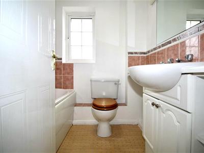 Picture 8